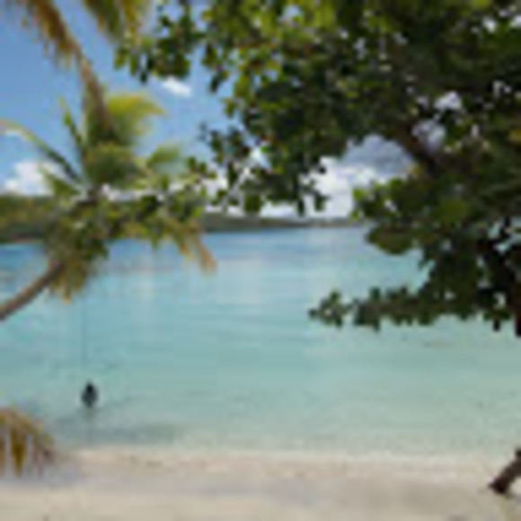 Meet your Posher, Danielle - Picture 1 of 1